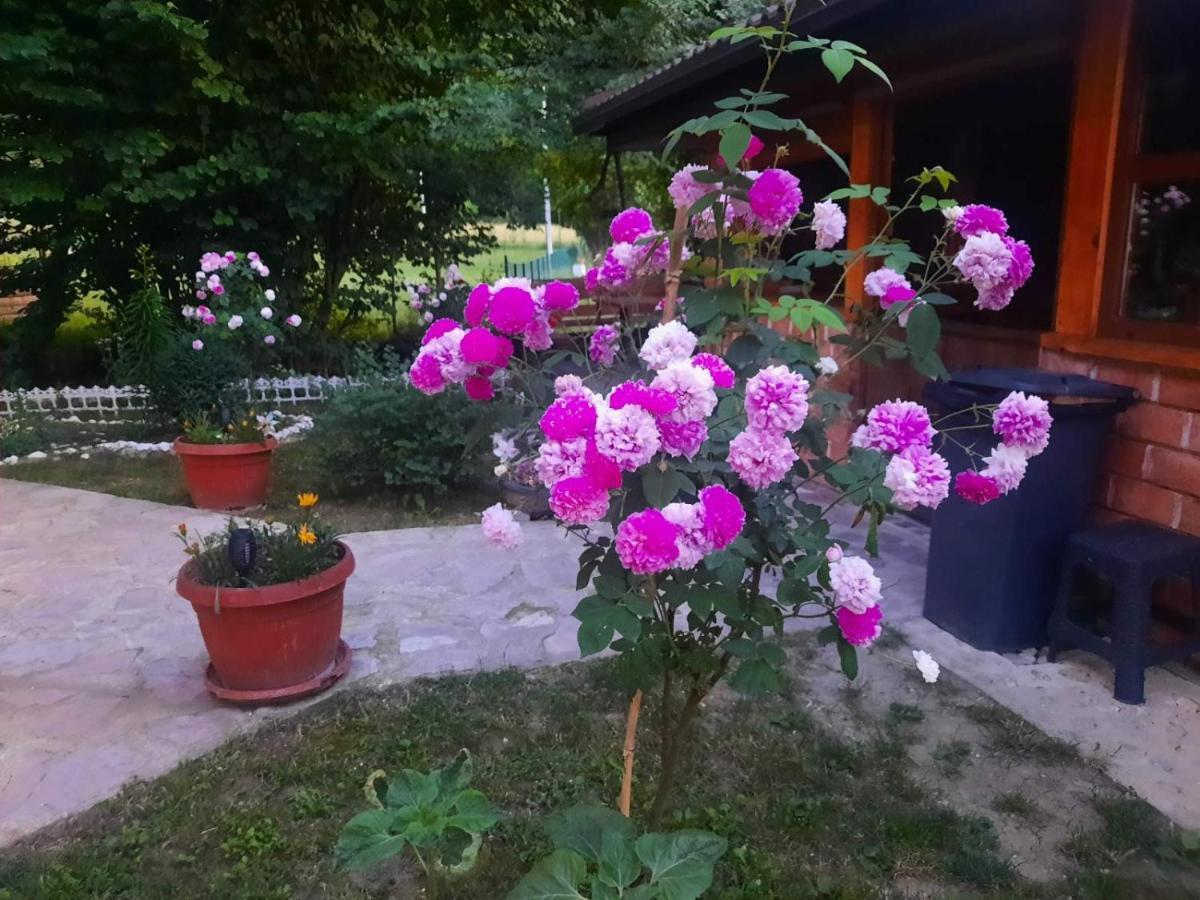 Live Nature Bihać Zewnętrze zdjęcie